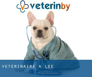 vétérinaire à Lee
