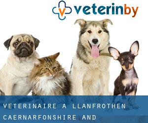 vétérinaire à Llanfrothen (Caernarfonshire and Merionethshire, Pays de Galles)