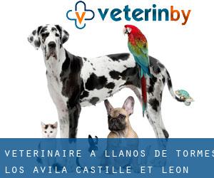 vétérinaire à Llanos de Tormes (Los) (Avila, Castille-et-León)