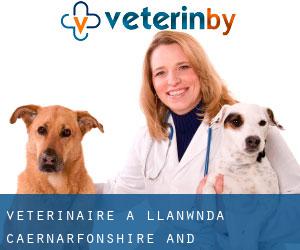 vétérinaire à Llanwnda (Caernarfonshire and Merionethshire, Pays de Galles)