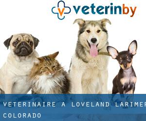 vétérinaire à Loveland (Larimer, Colorado)