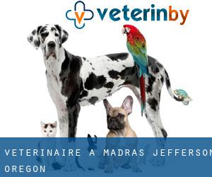 vétérinaire à Madras (Jefferson, Oregon)