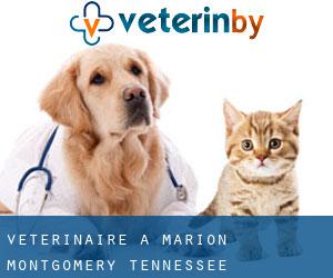 vétérinaire à Marion (Montgomery, Tennessee)