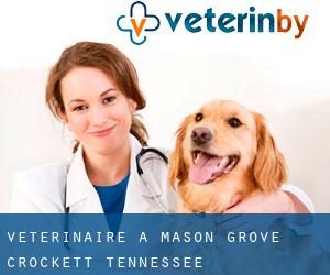 vétérinaire à Mason Grove (Crockett, Tennessee)
