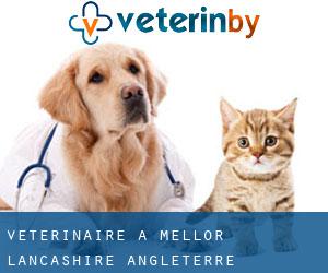 vétérinaire à Mellor (Lancashire, Angleterre)