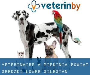 vétérinaire à Miękinia (Powiat średzki (Lower Silesian Voivodeship), Voïvodie de Basse-Silésie)