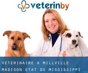 vétérinaire à Millville (Madison, État du Mississippi)
