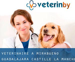 vétérinaire à Mirabueno (Guadalajara, Castille-La-Manche)