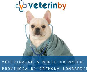 vétérinaire à Monte Cremasco (Provincia di Cremona, Lombardie)