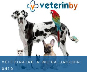 vétérinaire à Mulga (Jackson, Ohio)