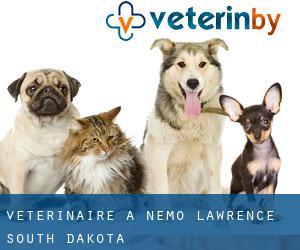 vétérinaire à Nemo (Lawrence, South Dakota)