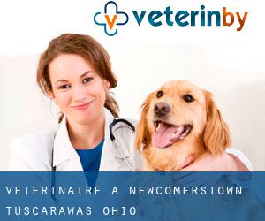 vétérinaire à Newcomerstown (Tuscarawas, Ohio)