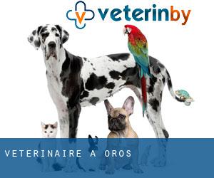 vétérinaire à Orós
