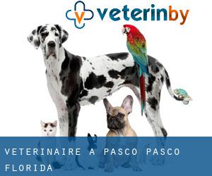 vétérinaire à Pasco (Pasco, Florida)