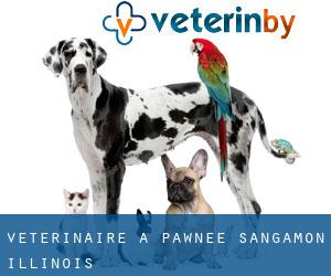 vétérinaire à Pawnee (Sangamon, Illinois)