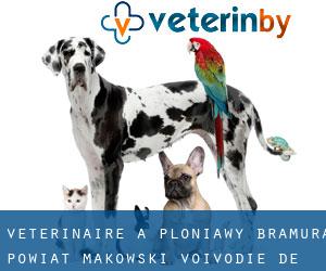 vétérinaire à Płoniawy-Bramura (Powiat makowski, Voïvodie de Mazovie)