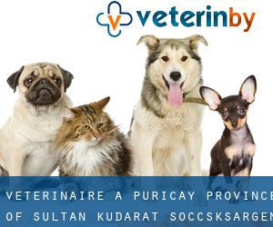 vétérinaire à Puricay (Province of Sultan Kudarat, Soccsksargen)