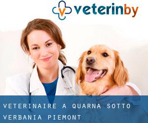 vétérinaire à Quarna Sotto (Verbania, Piémont)