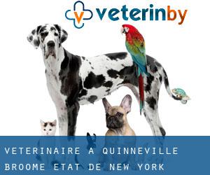 vétérinaire à Quinneville (Broome, État de New York)