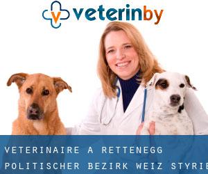 vétérinaire à Rettenegg (Politischer Bezirk Weiz, Styrie)