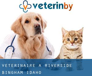 vétérinaire à Riverside (Bingham, Idaho)
