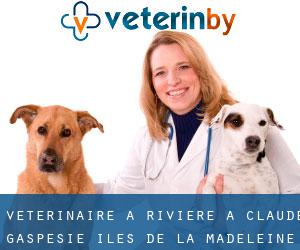 vétérinaire à Rivière-à-Claude (Gaspésie-Îles-de-la-Madeleine, Québec)