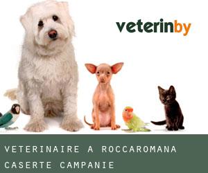 vétérinaire à Roccaromana (Caserte, Campanie)