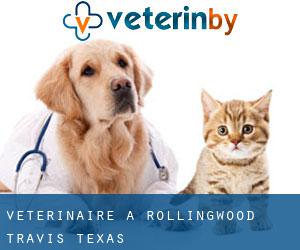 vétérinaire à Rollingwood (Travis, Texas)