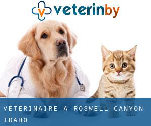 vétérinaire à Roswell (Canyon, Idaho)