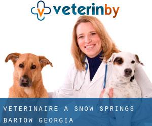 vétérinaire à Snow Springs (Bartow, Georgia)