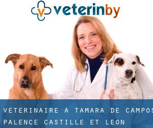 vétérinaire à Támara de Campos (Palence, Castille-et-León)