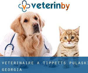vétérinaire à Tippetts (Pulaski, Georgia)