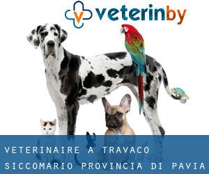 vétérinaire à Travacò Siccomario (Provincia di Pavia, Lombardie)