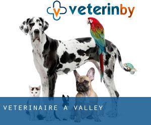 vétérinaire à Valley