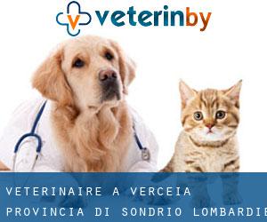 vétérinaire à Verceia (Provincia di Sondrio, Lombardie)