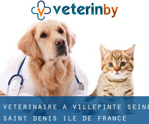 vétérinaire à Villepinte (Seine-Saint-Denis, Île-de-France)