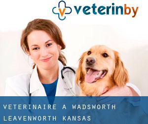vétérinaire à Wadsworth (Leavenworth, Kansas)