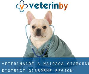 vétérinaire à Waipaoa (Gisborne District, Gisborne Region)