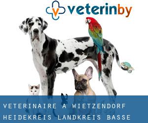 vétérinaire à Wietzendorf (Heidekreis Landkreis, Basse-Saxe)