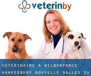 vétérinaire à Wilberforce (Hawkesbury, Nouvelle-Galles du Sud)