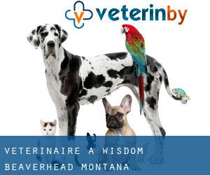 vétérinaire à Wisdom (Beaverhead, Montana)