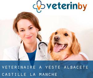 vétérinaire à Yeste (Albacete, Castille-La-Manche)